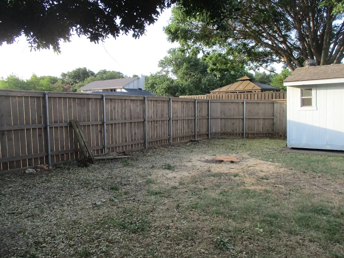 Cleared yard after professional tree removal in Viper